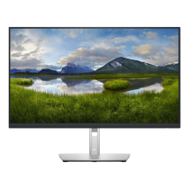 Dell Professional P2422HE