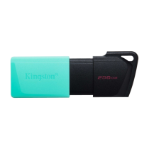 Kingston DTXM/256GB